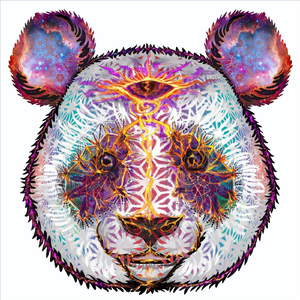 Waltzing Through the Forest (feat. Spiderhound & Bob Frank)