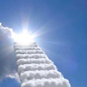 梦想在生根发芽