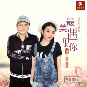 最美遇见你 (伴奏)