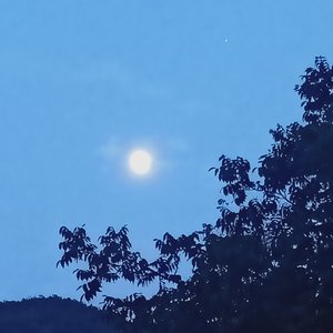 我等到花儿也谢了