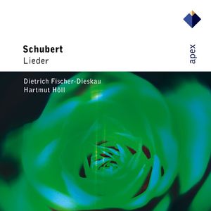 2 Lieder, Op. 22:No. 1, Der Zwerg, D. 771