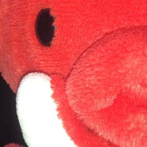 ミュージシャン