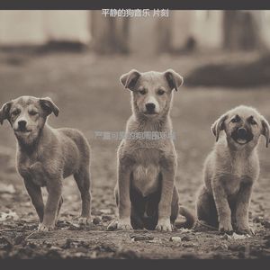 温和小狗梦想
