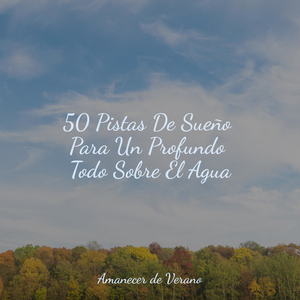 Reflexiones Barridas por los Sueños