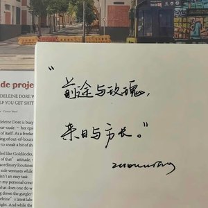 我对自己开了一枪