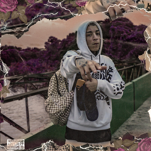 Rosas