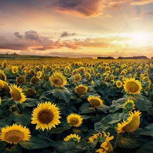 《별빛 속의 너와 나》（星光下的你和我）