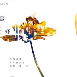 蜜蜂 （guitar ver.）