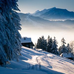 凌波微步胡天渝邓寓君