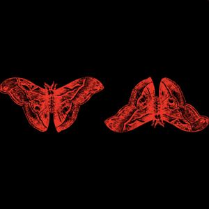 this isnt drift music