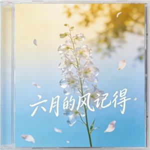 6月的风记得