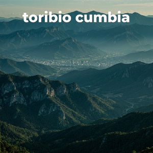 cumbia toribio