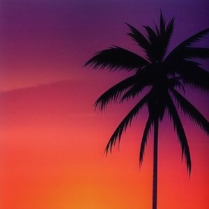 Future Funk Synth Journey