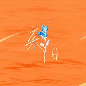 来日枝火｜王一博原创生日贺曲