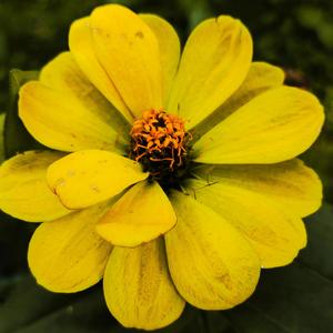 3.28.26 (Miss her when she's gone)