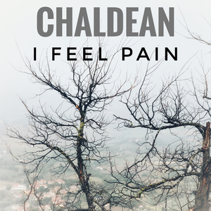 I Feel Pain