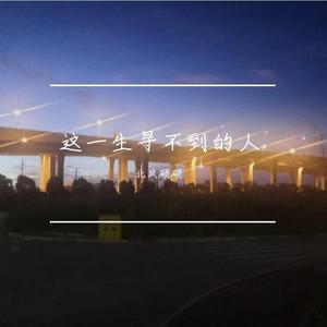 这一生寻不到的人