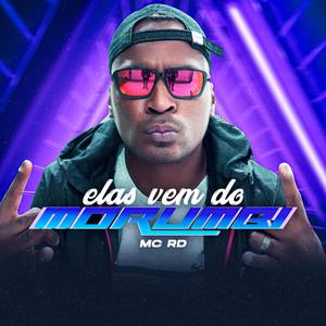 Elas vem do morumbi (feat. DJ Guih Da ZO)