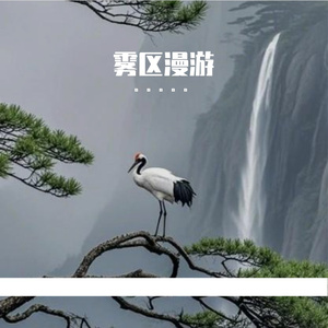 雾区漫游