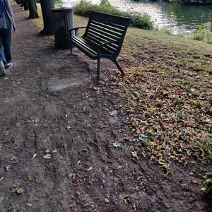 Skärp (Fredsduvan)