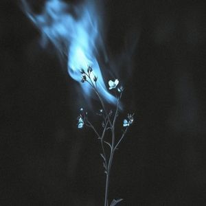 Мрачные тени