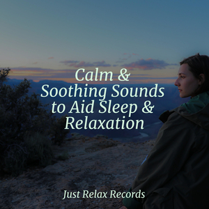 Echoes of Cosmic Secrets