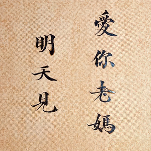 爱你老妈明天见