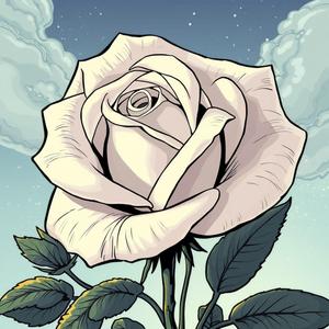 White Rose