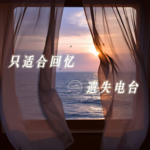 只适合回忆