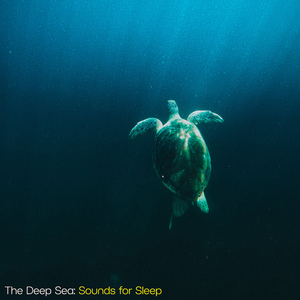 The Overlapping Waves