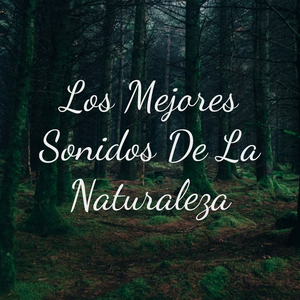 Los Mejores Sonidos De La Naturaleza