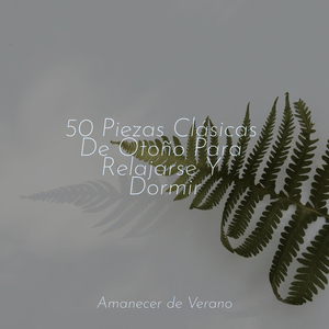 Vuelo Épico del Génesis Eufórico