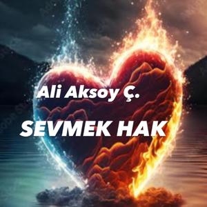 Sevmek Hak