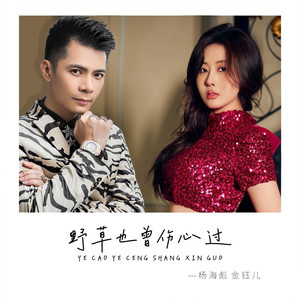 野草也曾伤心过 (对唱版)