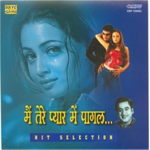 Aanewala Pal Janewala Hai