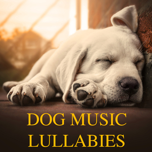 Music for Your Puppy (Loopable)