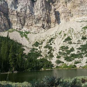 Tread Along the Misty Valley