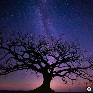 골목 가게 할머니