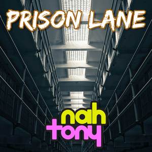 Prison Lane (From "Sonic Adventure 2") (Cover Version)