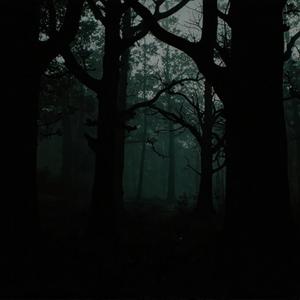 Amelie (feat. iaintseenhim)