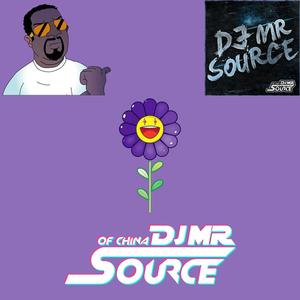 Don Diablo-2k20 Party Mixes（DJ Mr.SouRce remix）