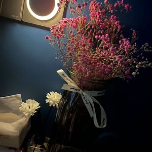 会跳舞的胡萝卜