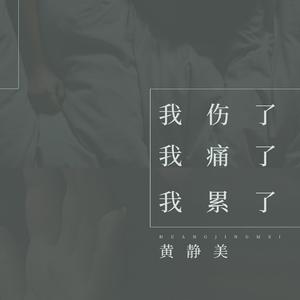 我伤了我痛了我累了 (DJHouse版)