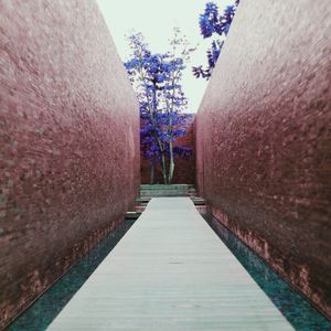 柔和的酒店时刻