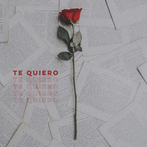 Te quiero (Remix)