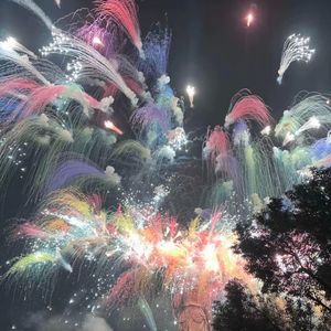 夏夜最后的烟火૮ ɵ̷ ‧̫ᕳᕲა