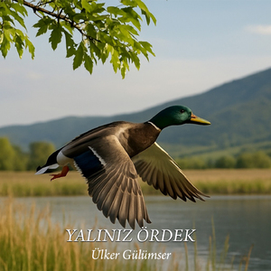 İhanetin Sızı Kalır