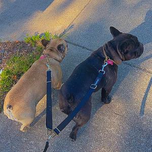 stuck 2 u (instrumental)