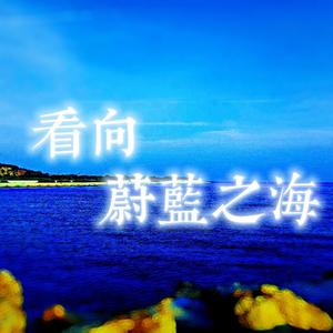 看向蔚蓝之海