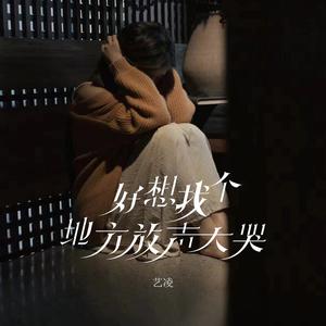 好想找个地方放声大哭 (Live合唱版)